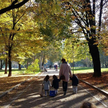 oltre nido - il bosco oltre nido - il bosco